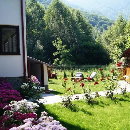 Cabana Nisipoasa Riu de Mori Exterior photo