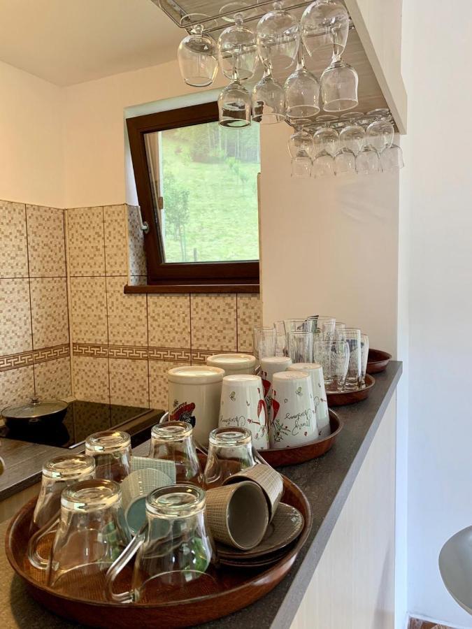 Nisipoasa Holiday home