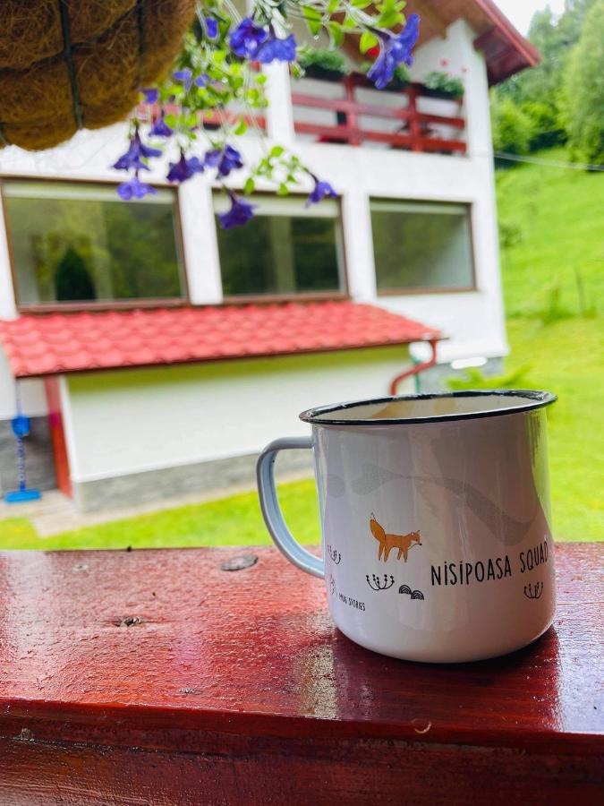 Holiday home Nisipoasa
