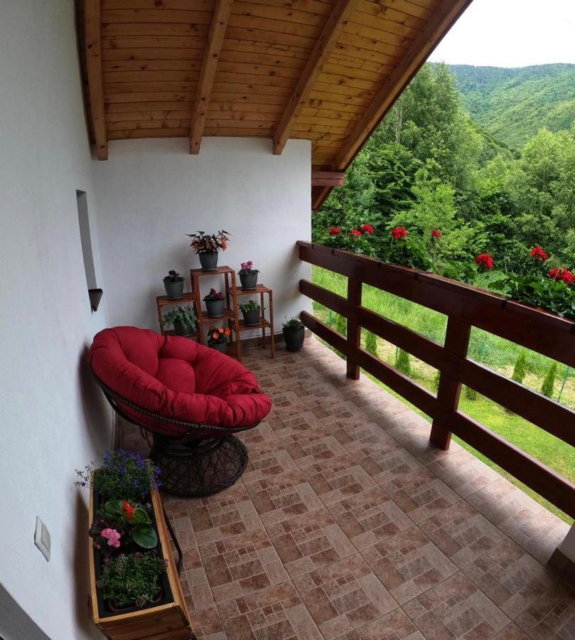 Nisipoasa Holiday home Riu de Mori