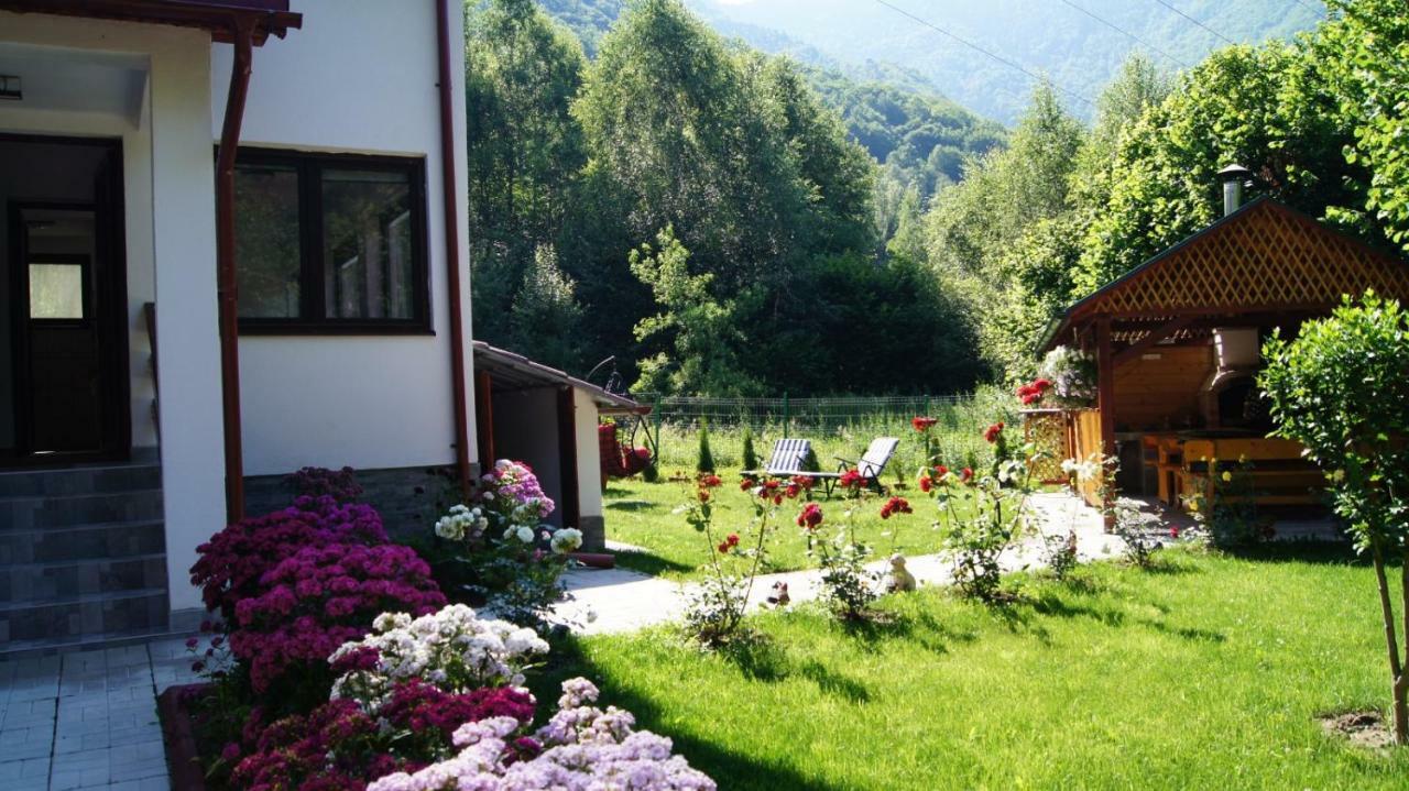 Nisipoasa Holiday home *